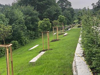 Der sanierte Friedhof war diesmal Anlass für großen Streit im Tettauer Marktgemeinderat.Michael Wunder