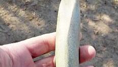 Dieser Steinkeil gibt den Arch&auml;ologen R&auml;tsel auf, weil er viel &auml;lter ist als die anderen Fundst&uuml;cke.