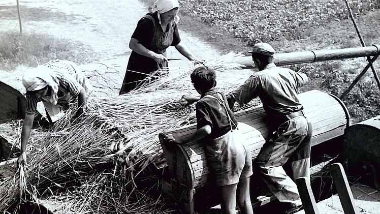 Am längsten waren Schulkinder in der Landwirtschaft tätig. Gefährlich war es auf einer Dreschmaschine. Dieses Foto aus Zeil entstand in den frühen 50er Jahren. Fotos: Archiv Leisentrit