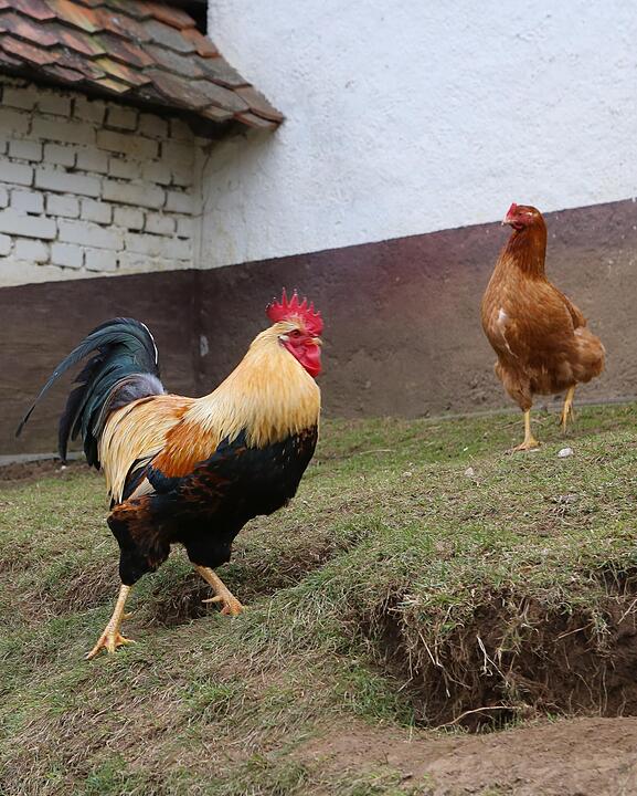 SoS; Neuses-Poxstall; Gemeindeseite; Foto: Barbara Herbst
