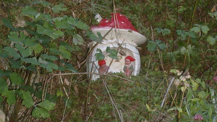 Im Garten der Familie Trautner in Gräfenberg. Foto: Petra Malbrich
