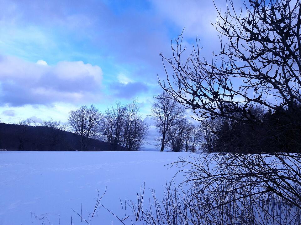 Die schönsten Fotos im Winter aus Bad Kissingen und Umgebung