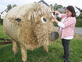 Tanja Goller hat das Picknickgeschirr aus Plastik für die Riesen-Tiere geopfert. Die Teller wurden innen schwarz angemalt - und mit einem Nagel als Augen in das Schäfchen und in die Kälbchen gesteckt.