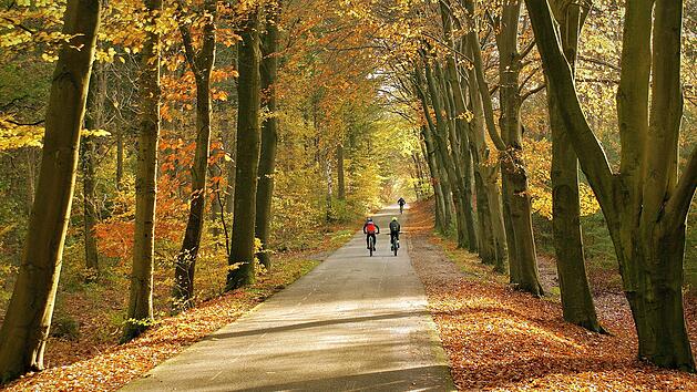 Fahrrad, Radtour, Herbst