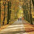 Fahrrad, Radtour, Herbst