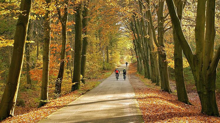 Fahrrad, Radtour, Herbst