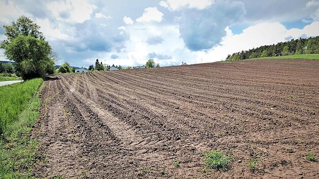 Den größten Ausgabebrocken im gemeindlichen Haushalt bilden die geplanten Erschließungsmaßen der Neubaugebiete "Am Wald II" (unser Bild) und "Weidenrain" mit Kosten von knapp 1,9 Millionen Euro.