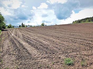 Den größten Ausgabebrocken im gemeindlichen Haushalt bilden die geplanten Erschließungsmaßen der Neubaugebiete "Am Wald II" (unser Bild) und "Weidenrain" mit Kosten von knapp 1,9 Millionen Euro.