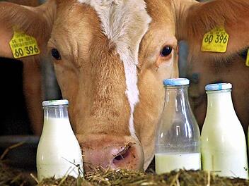 Die Preise für Milch, Getreide und Schweine sind im Keller. Symbolbild: Karl-Josef Hildenbrand/dpa