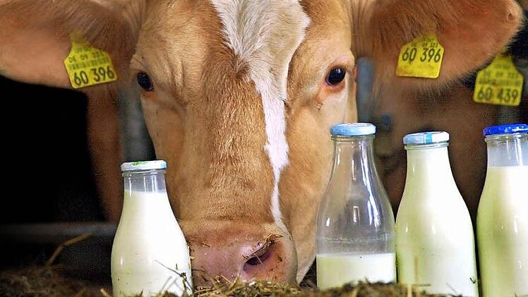 Die Preise für Milch, Getreide und Schweine sind im Keller. Symbolbild: Karl-Josef Hildenbrand/dpa