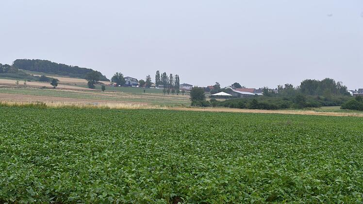 Landschaft  pur zwischen Neuensee und Schwürbitz. Foto: Ronald Rinklef