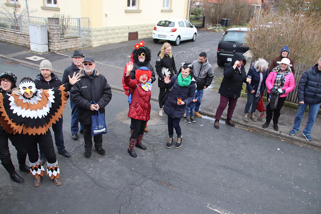 Kreisfaschingsumzug 2020