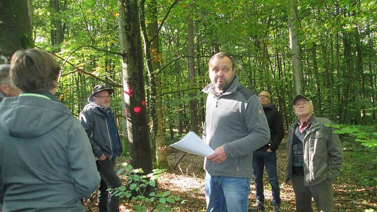 Brennholz wird in Fuchsstadt teurer. Die Gemeinderäte waren im Wald unterwegs. Foto: Winfried Ehling