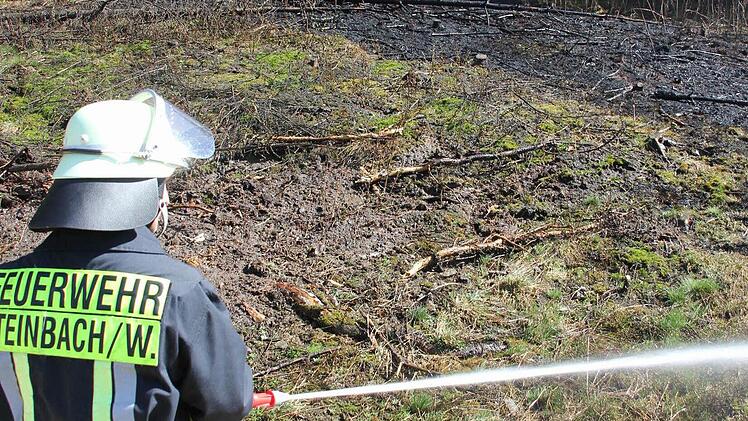 Die Wehrleute bekämpften den Brand.  Foto: Friedwald Schedel