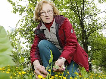 Edith Wagner kennt sich mit Kräutern bestens aus und weiß, wofür man sie verwendenkann.  Foto: Matthias Hoch