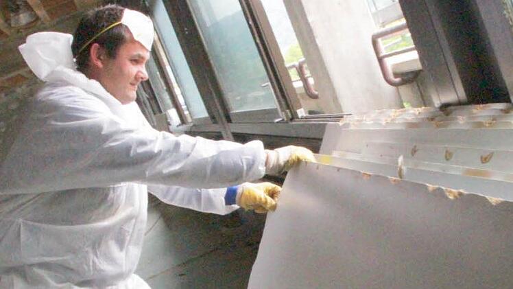 Foto: Josef Hofbauer