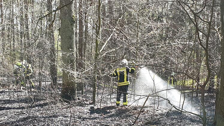 Bei einem Feuer im Kreis Nürnberger Land (Mittelfranken) gerieten am Freitag rund tausend Quadratmeter Wald in Brand. Die Feuerwehr rückte mit einem Großaufgebot an und löschte die Flammen. Foto: NEWS5 / Fechner