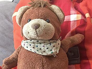 In einem Plüschtier des Opfers hatte der Mann seine Kamera versteckt. Diese war auf das Bett ausgerichtet, um entsprechende Aufnahmen zu erhalten (Symbolfoto).  Foto: Michael Busch