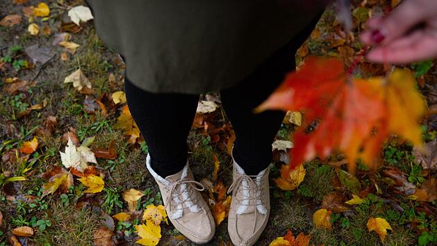 Offizieller Herbstanfang ist laut Meteorologen am 1. September 2019. Symbolfoto: Cori Rodrigues/pexels.com