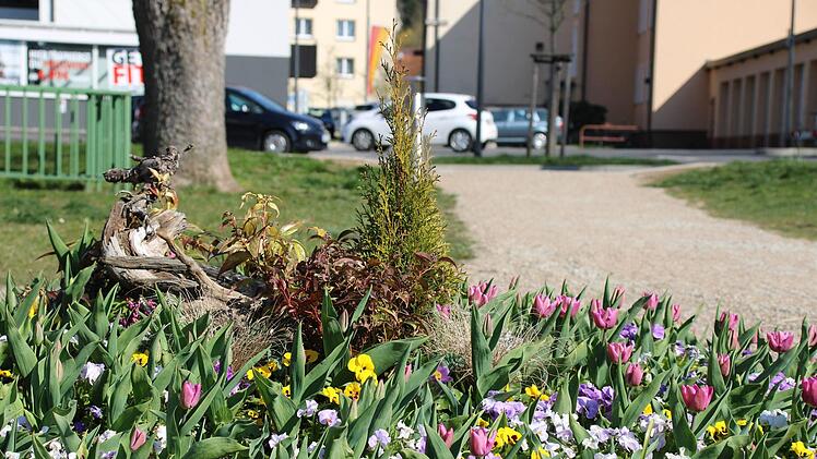 Klassische Blumenbeete sind ebenfalls in Bad Brückenau zu finden. Zur Zeit sind sie frühlingshaft bepflanzt. Foto: Ulrike Müller