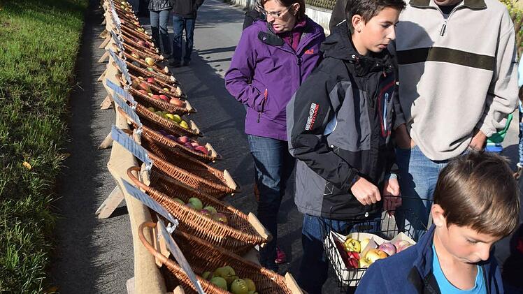 Foto: Ronald Rinklef