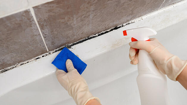 Schimmel, Schwarzer Schimmel, Bad, K&uuml;che