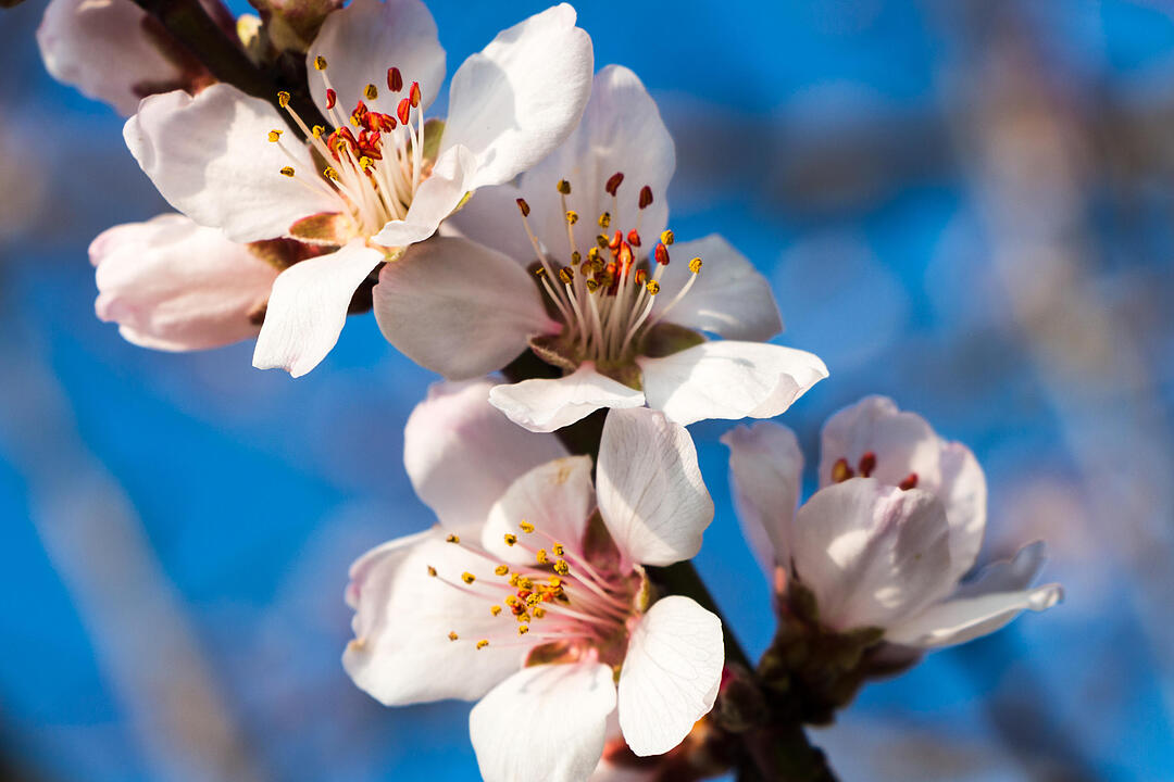 Fotos Konrad Thomann