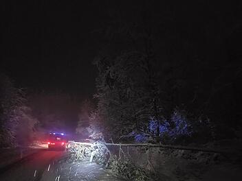 Schneemassen st&uuml;rzen B&auml;ume - Feuerwehr hat alle H&auml;nde voll zu tun