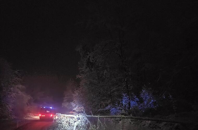 Volkach: Umgestürzte Bäume sorgen für gesperrte Straßen