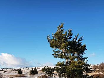 Die schönsten Winterfotos aus Bad Kissingen und Umgebung