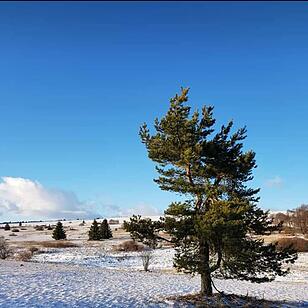 Die schönsten Winterfotos aus Bad Kissingen und Umgebung