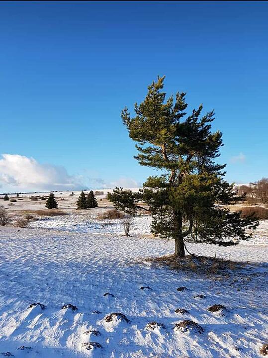 Die schönsten Winterfotos aus Bad Kissingen und Umgebung