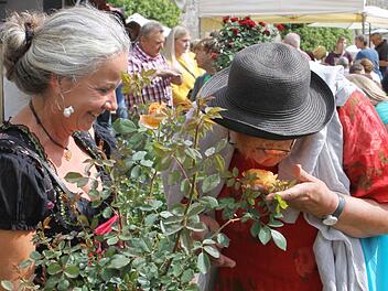 Stefanie Kober freut sich auf die Rosen- und Gartenmesse am 7. und 8. September auf der Festung Rosenberg in Kronach. Foto: Archiv/Michael Wunder