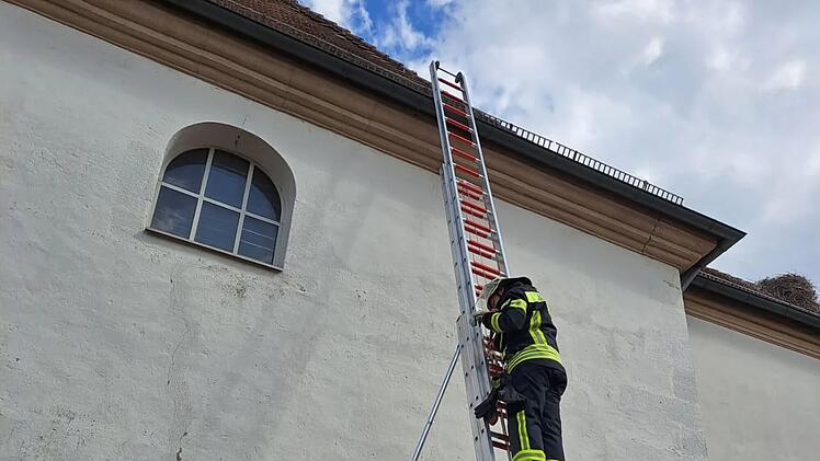 Frensdorf: Feuerwehr rettet Storchenbaby von Kirchendach
