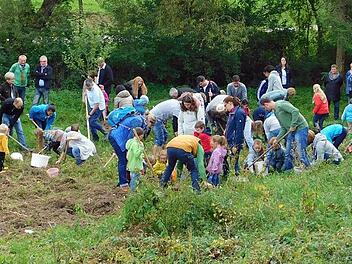 Immer wieder bot der Wülflinger Verein Aktionen an, bei denen Kinder mitwirken konnten. Unser Bild zeigt die Gruppe beim Lesen der angebauten Kartoffeln 2016.  Foto: Josef Zenker
