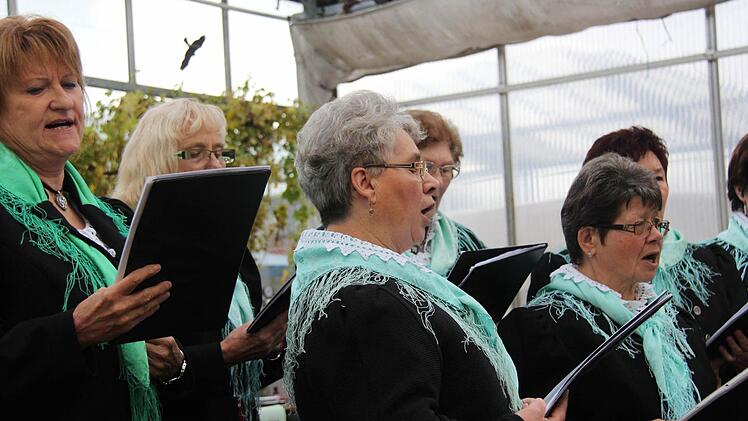 "Achte die Natur", sang die Schola des OGV Frankenbrunn.