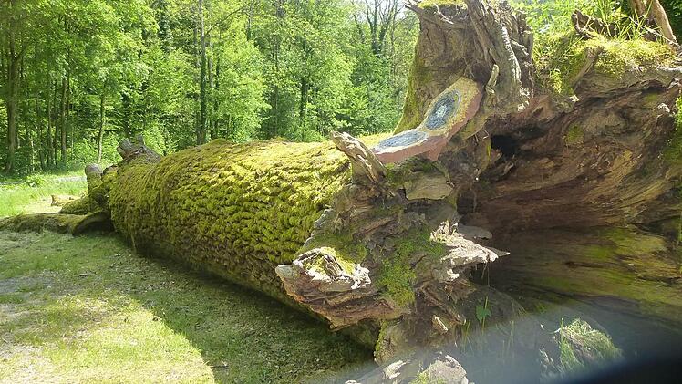 Richtung Ilgenwiese und Ilgenhalle.