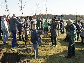 Eine der größten Aktionen mit bleibendem Effekt war die Anlegung einer gemeinsamen Streuobstwiese am Aicher Weg im Jahre 2013.  Fotos: sw