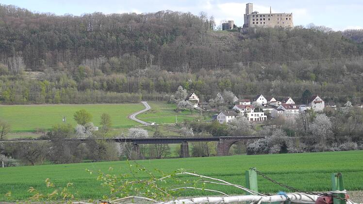 Vorne der Maibaum auf dem Weg in die Ortsmitte von Trimberg, im Hintergrund ist die Trimburg zu sehen. Foto: ssp