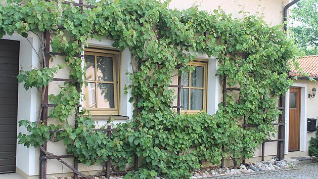 Foto: Jupp Schr&ouml;der