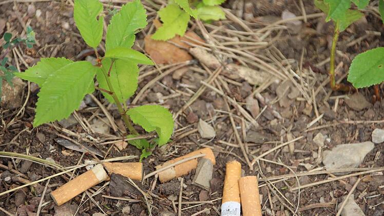 Auf dem trockenen Waldboden reicht momentan die Glut einer Zigarettenkippe, ein Feuer zu entfachen. Die Waldbrandgefahr ist derzeit so hoch, dass es am Feiertag und am Wochenende Beobachtungsflüge geben wird. Fotos: Heike Beudert