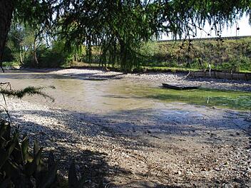 Zum ersten Mal seit 1976 musste das Wasser aus dem Herzogsteich bei Gundelsdorf komplett abgelassen werden. Foto: Marco Meißner