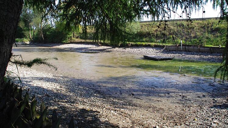 Zum ersten Mal seit 1976 musste das Wasser aus dem Herzogsteich bei Gundelsdorf komplett abgelassen werden. Foto: Marco Meißner