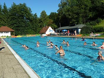 Im Sommer eine tut eine Erfrischung im Schwimmbad gut. Die Schwimmbadfreunde Weißenbrunn kaufen der Gemeinde das Freibad ab, damit dessen Bestand gesichert werden kann.