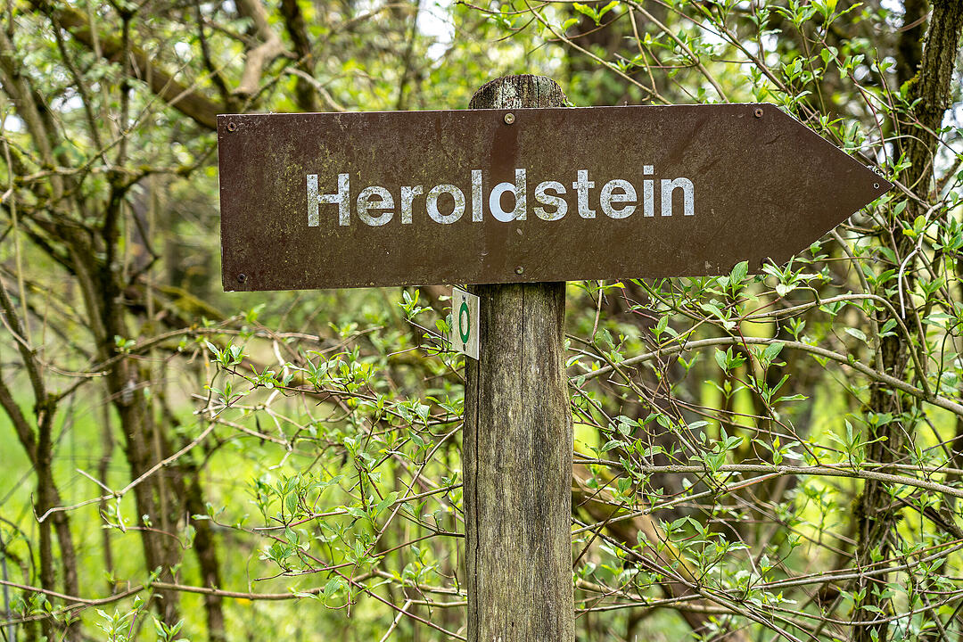 Der große Burgfels dient als toller Aussichtspunkt.