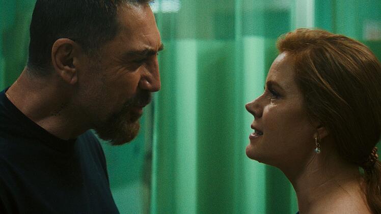 Max Cady (Javier Bardem) wurde einst von der jungen Anw&auml;ltin Anna Bowden (Amy Adams) vor Gericht wegen des Mordes an seiner Frau und dem ungeborenen Sohn verteidigt. Doch Max musste viele Jahre in den Knast. Nun ist er wieder frei und sucht die N&auml;he "seiner Anw&auml;lte".