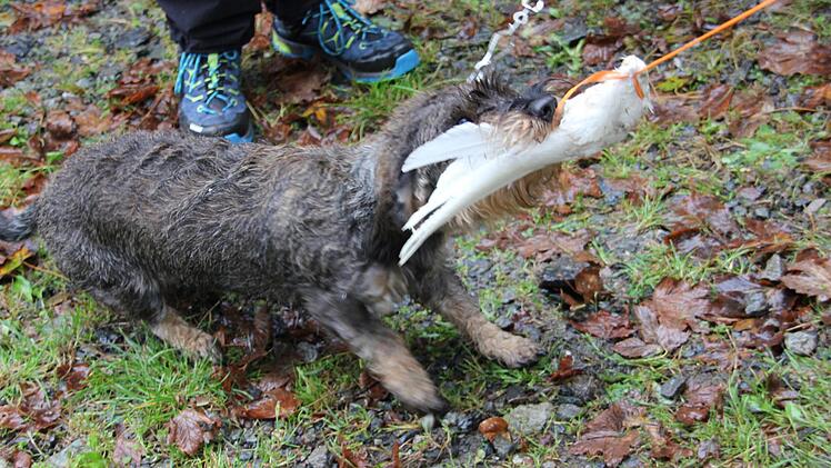 Foto: Mariell Dörrschmidt