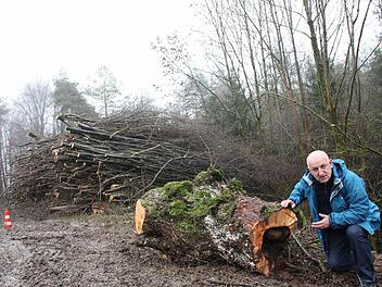 Naturschützer Heinz Marquart vor einem abgeschnittenen Kopfbaum. Im Hintergrund die Äste gefällter Bäume. Foto: Roepert