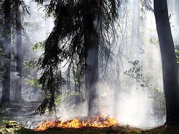 Waldbrand bei Aschaffenburg