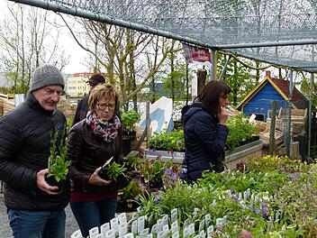 Etliche Gartenfreunde deckten sich in den Gärtnereien mit Pflanzen und Stauden für daheim ein. Foto: Marion Krüger-Hundrup